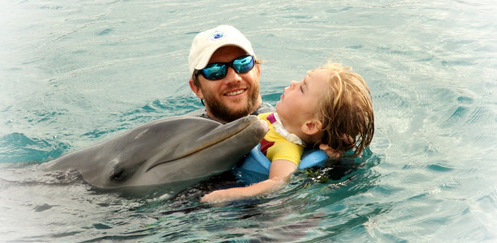dolphin-web2011